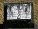 image of grave number 784162